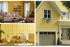 Percantik Rumahmu: 5 Ide Cat Kuning untuk Interior dan Eksterior!