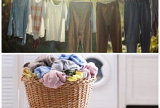 Musim Hujan Bukan Masalah, Ini Tips Mengeringkan Pakaian Supaya Tetap Segar dan Bebas Bau