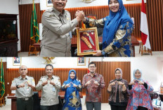 Wawako Audiensi Sekjen Mentan RI, Bahas Penguatan Sapras Pertanain di Pagar Alam