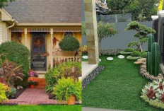 Taman Depan Rumah Sederhana tapi Cantik: Inspirasi untuk Hunian Minimalis!