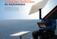 Internet Ngebut di Pelosok! Starlink Jadi Pilihan Utama Warga