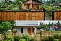 5 Model Pagar Rumah Kampung Terbaru 2026: Perpaduan Unik Gaya Tradisional dan Sentuhan Modern yang Mewah