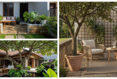 Bikin Teras Rumah Lebih Hidup, Ini 8 Pohon Peneduh dalam Pot yang Lagi Tren