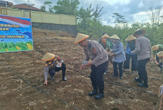Wujudkan Swasembada Pangan, Polres Pagar Alam Gelar Tanam Jagung Serentak Kuartal I 2026