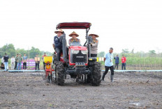 Putus Rantai Tengkulak Gandeng 4 Bank Himbara, Salurkan KUR bagi Petani Jagung