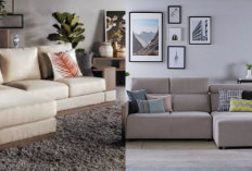 Rekomendasi Kursi Minimalis untuk Ruang Tamu yang Nyaman dan Modern!