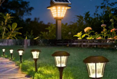 Halaman Cantik Tanpa Tagihan Listrik! 5 Lampu Taman Tenaga Surya Terbaik 2026 yang Praktis dan Hemat Energi