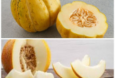 Manfaat Buah Blewah untuk Tubuh: 6 Khasiat Penting dari Hidrasi hingga Kecantikan Kulit