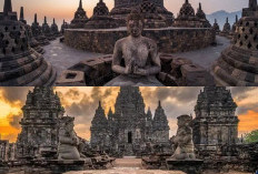 Dari Candi hingga Museum Medis, Inilah Destinasi Wisata Edukatif yang Kaya Nilai Sejarah dan Kesehatan