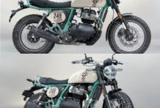 Royal Enfield Bear 650 Hadir di Indonesia: Scrambler Klasik dengan Harga Terjangkau