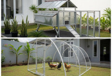 Cara Membuat Kandang Ayam Portable Sendiri: Kuat, Ringan, dan Mudah Dipindahkan