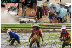 Tradisi dan Kearifan Lokal Sunda yang Tetap Lestari di Tengah Modernisasi
