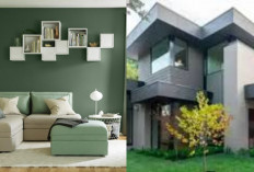 Rekomendasi Warna Cat Rumah yang Tidak Menyerap Panas dan Nyaman Ditinggali!