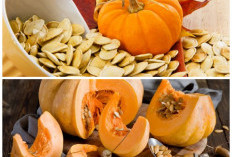 Jangan Remehkan Biji Labu! Ini Kandungan Gizi dan Khasiatnya bagi Tubuh