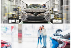 Gaya Eropa dan Jepang Berbeda Jauh? Ini Rahasia Desain Sasis yang Menentukan Kenyamanan Berkendara