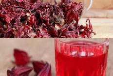  Jangan Lewatkan Manfaat Bunga Rosella untuk Kesehatan yang Jarang Diketahui!  