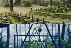 Bosan ke Lembang? Ini 3 Rekomendasi Wisata Alam Jawa Barat yang Sejuk dan Cocok untuk Tempat Healing
