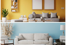 Inspirasikan Ruang Tamu dengan Warna Cat yang Nyaman dan Tetap Menarik
