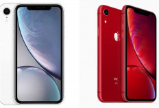 Masih Banyak Dijual Murah, Apakah iPhone XR Masih Layak Dipakai Sekarang? Ini Kenyataan Pahitnya!