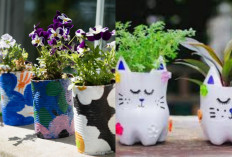 Desain Pot Bunga dari Botol Bekas yang Kreatif dan Ramah Lingkungan!