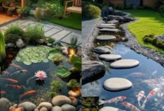 Sentuhan Batu Alam, Kolam Ikan Minimalis Bikin Rumah Lebih Hidup!