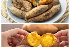 6 Manfaat Ubi Cilembu untuk Kesehatan, dari Melancarkan Pencernaan hingga Menangkal Risiko Kanker