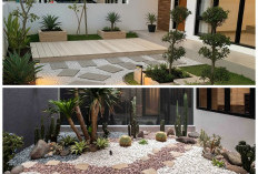 Inspirasi Taman Kering Modern di Luar Rumah, Estetik dan Mudah Dirawat Setiap Hari