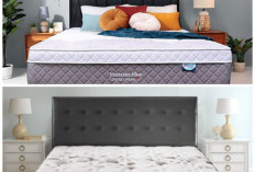 8 Pilihan Bed Frame Terbaru yang Kuat, Nyaman, dan Nyaman untuk Postur Tubuh