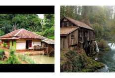 Rumah di Pedesaan Makin Nyaman dengan Konsep Ini, Ada Teras dan Taman yang Asri!