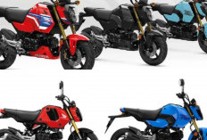 Honda Grom 2026 Hadir Lebih Segar: Tiga Warna Baru, Harga Tetap Bersahabat!