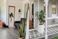 Inspirasi Model Lantai Teras Rumah Kecil agar Terlihat Luas dan Modern di 2026!