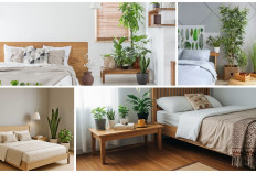 Bikin Kamar Lebih Sehat, Ini 6 Tanaman Terbaik untuk Tidur Nyenyak! 