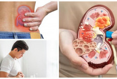 Tanda Awal Penyakit Ginjal yang Sering Terabaikan: Kenali Gejalanya Sebelum Terlambat