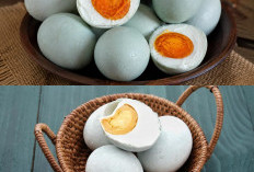  Beragam Manfaat Telur Asin untuk Jaga Daya Tahan Tubuh dan Hasilkan Energi yang Lebih Optimal