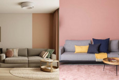 10 Warna Cat Ruang Tamu yang Bikin Ruangan Terasa Lebih Luas dan Berkelas!