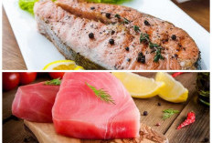 Bukan Sekadar Lezat, Ikan Tuna Punya 6 Manfaat Penting untuk Kesehatan Bayi