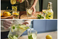 Segelas Air Lemon Hangat: Minuman Sederhana dengan Segudang Manfaat Kesehatan