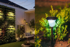 Desain Lampu Taman Rumah: Bikin Suasana Malam Jadi Lebih Indah!