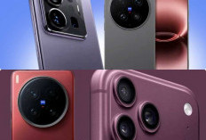 vivo X500 Pro vs X500 Pro Max: Ini Perbedaan dan Peningkatan yang Ditawarkan