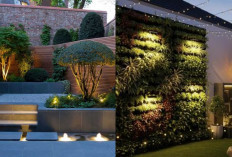 Desain Halaman Belakang Rumah Kecil dengan Lampu Taman Estetik, Sederhana tapi Mewah!