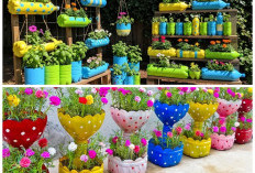 Sulap Botol Bekas Jadi Pot Bunga Unik, Tampilan Taman Rumah Makin Menarik