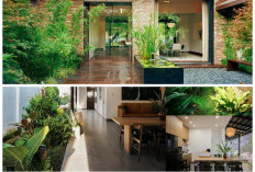 Tanpa Perlu Disiram! Mengenal Tren Living Wall Otomatis, Rahasia Rumah Sejuk Tanpa Ribet