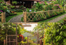 5 Ide Pagar Bambu Rendah Estetik untuk Pekarangan di Desa: Murah, Alami, dan Bikin Tetangga Terpikat