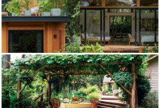 Pergola Mini ala Kafe di Rumah: Inspirasi Tanaman Rambat Berbunga yang Estetik dan Adem
