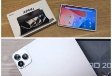 Infinix Xpad 20 Resmi Meluncur: Baterai 7.000 mAh dan Fitur AI Canggih, Siap Dominasi Pasar Tablet Murah 2026