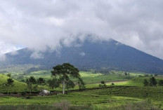 Puncak Hujan Kian Dekat, Bencana Alam Tak Bisa Diprediksi! Warga Di Himbau untuk Tetap Waspada 
