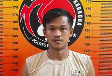 Pengedar Daun Setan di Pagar Alam Dibekuk Polisi 