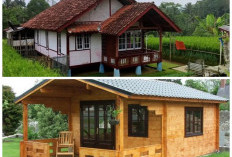 Hunian Kayu Sederhana di Kampung, Desain Minimalis dengan Sentuhan Kebun Mini