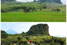 Gunung Gajah di Pemalang, Jejak Sejarah yang Tersembunyi di Balik Kabut Pegunungan