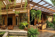 Model Teras Minimalis Teduh dengan Tanaman Gantung yang Cantik dan Natural!